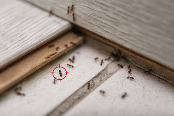 Edinburgh, IN Pest Control Company