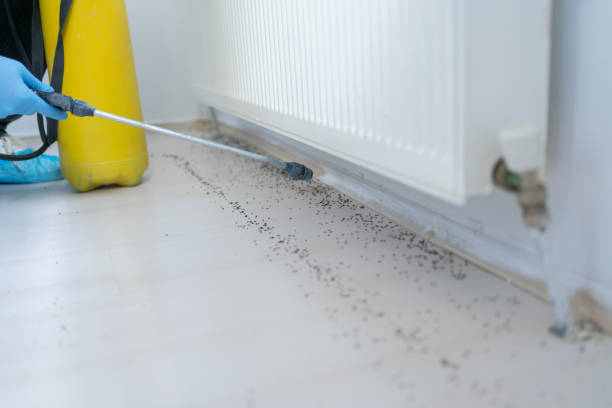 Best Pest Control for Restaurants  in Edburgh, IN