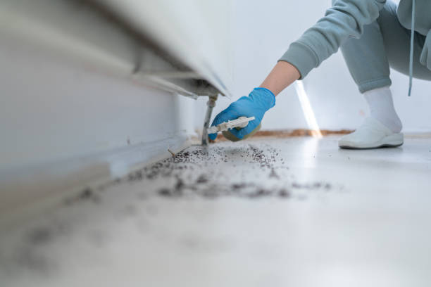 Best Bed Bug Extermination  in Edburgh, IN