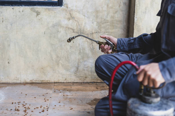 Best Affordable Pest Control Services  in Edburgh, IN