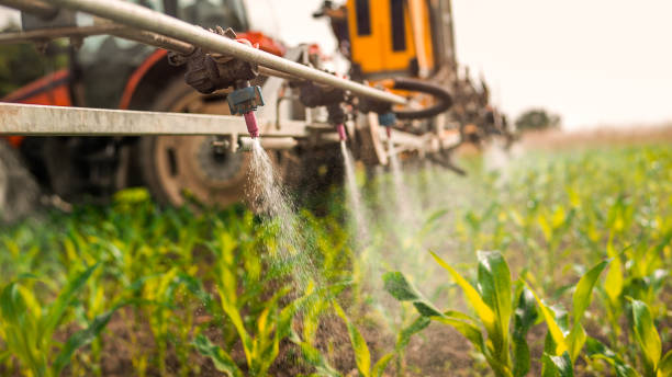 Best Mosquito Control Services  in Edburgh, IN