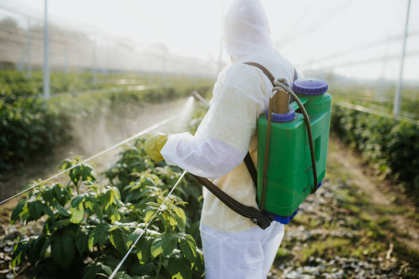 Best Commercial Pest Control Services  in Edburgh, IN